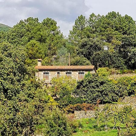 Casa Rural En Candeleda Con Piscina Y Un Maravilloso Jardin Kültér fotó