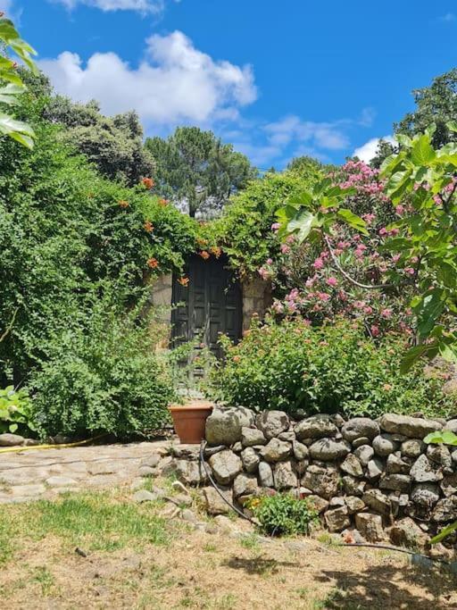 Casa Rural En Candeleda Con Piscina Y Un Maravilloso Jardin Kültér fotó