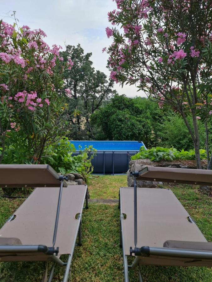 Casa Rural En Candeleda Con Piscina Y Un Maravilloso Jardin Kültér fotó