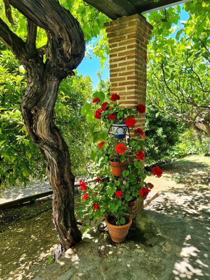 Casa Rural En Candeleda Con Piscina Y Un Maravilloso Jardin Kültér fotó