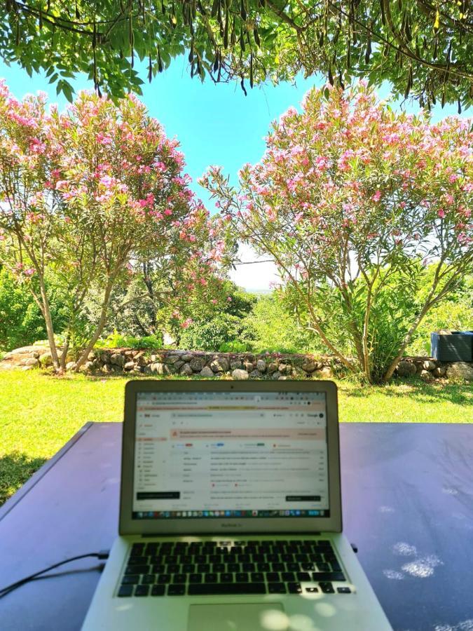 Casa Rural En Candeleda Con Piscina Y Un Maravilloso Jardin Kültér fotó