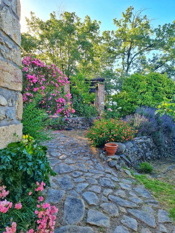 Casa Rural En Candeleda Con Piscina Y Un Maravilloso Jardin Kültér fotó