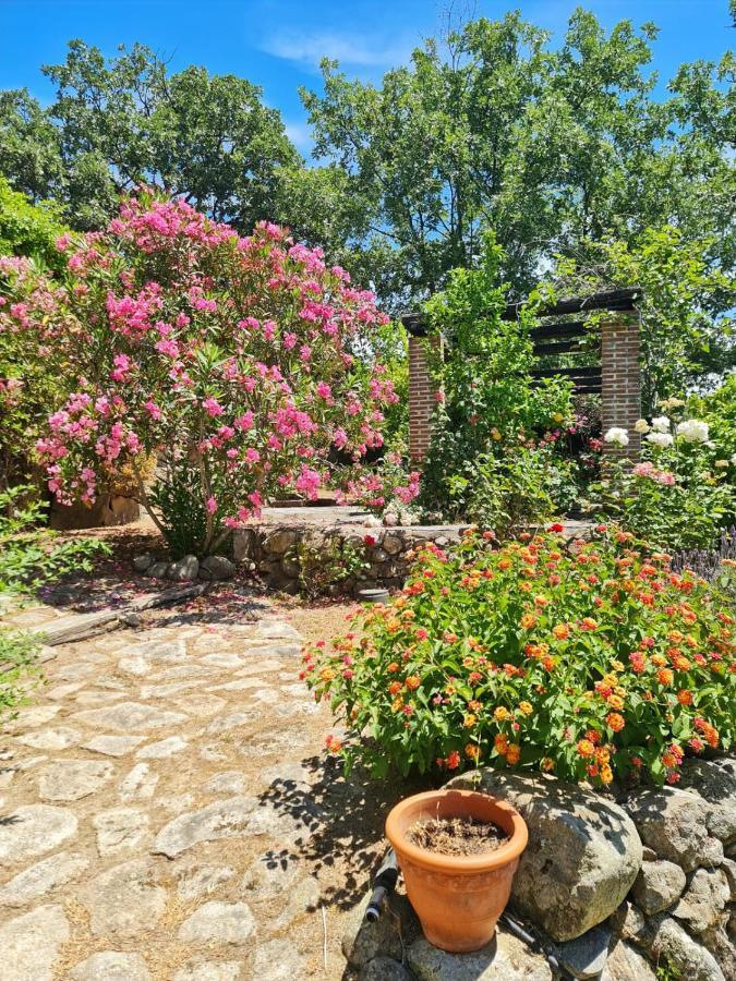 Casa Rural En Candeleda Con Piscina Y Un Maravilloso Jardin Kültér fotó