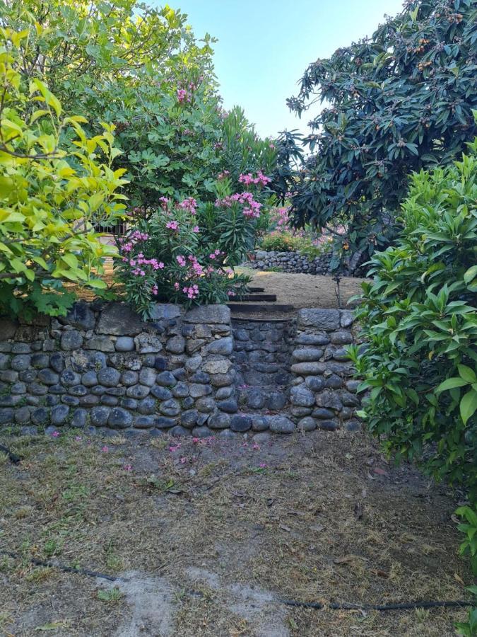Casa Rural En Candeleda Con Piscina Y Un Maravilloso Jardin Kültér fotó