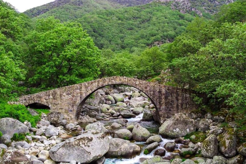 Casa Rural En Candeleda Con Piscina Y Un Maravilloso Jardin Kültér fotó