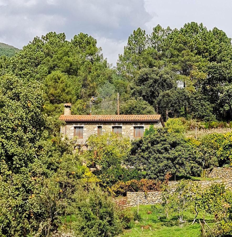 Casa Rural En Candeleda Con Piscina Y Un Maravilloso Jardin Kültér fotó