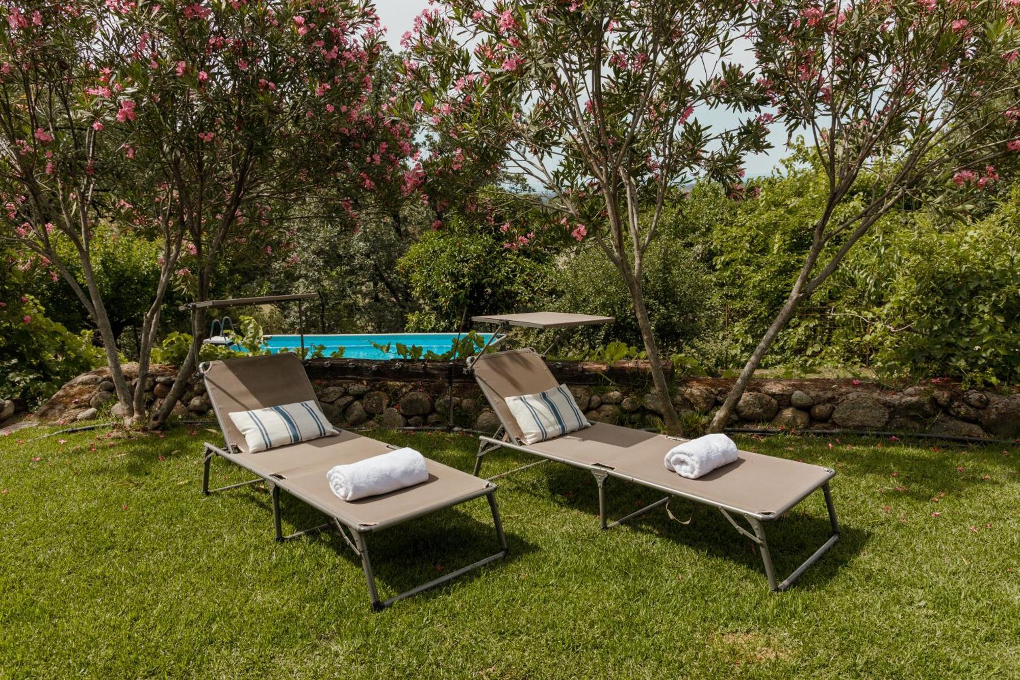 Casa Rural En Candeleda Con Piscina Y Un Maravilloso Jardin Kültér fotó