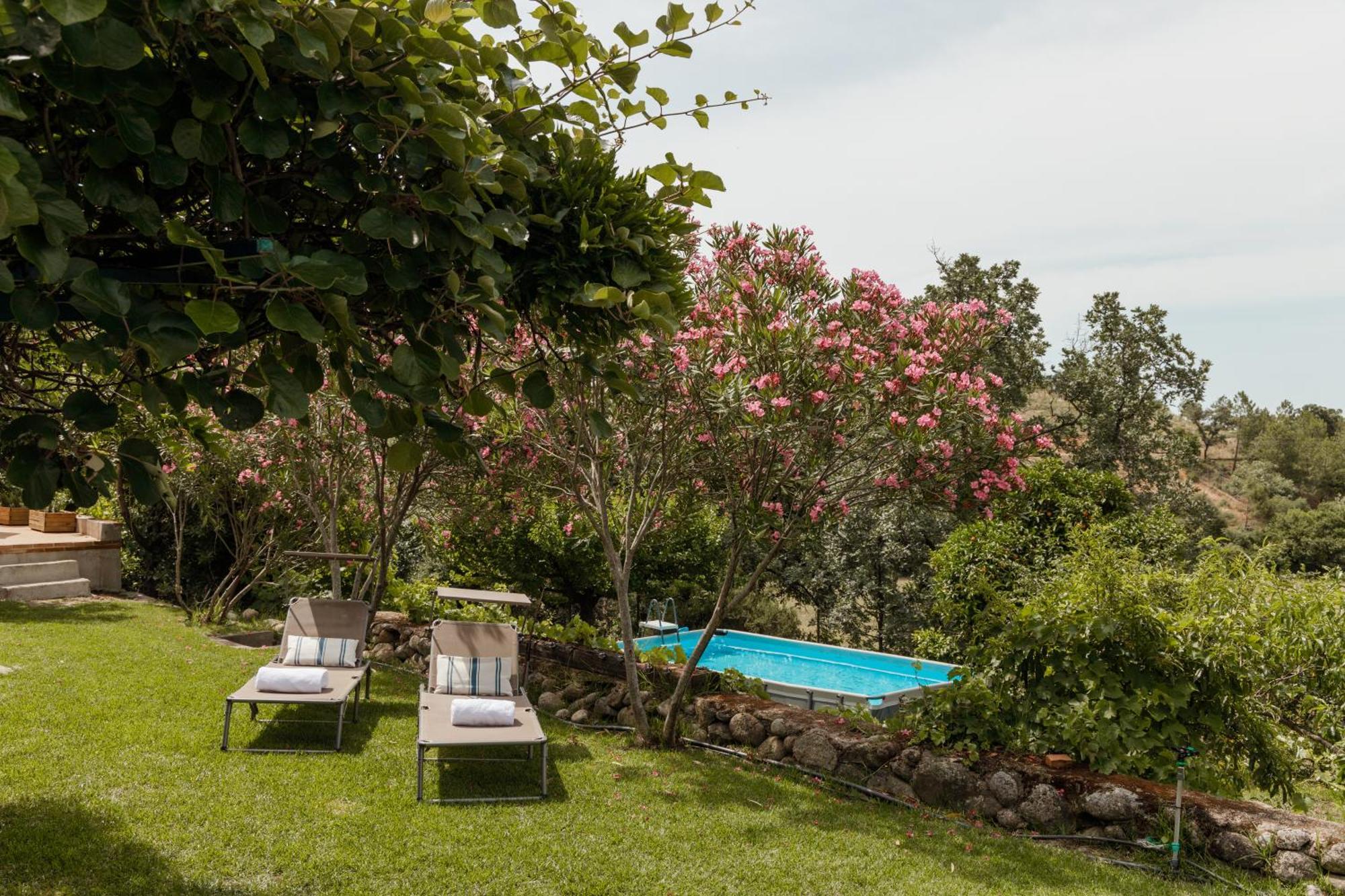 Casa Rural En Candeleda Con Piscina Y Un Maravilloso Jardin Kültér fotó