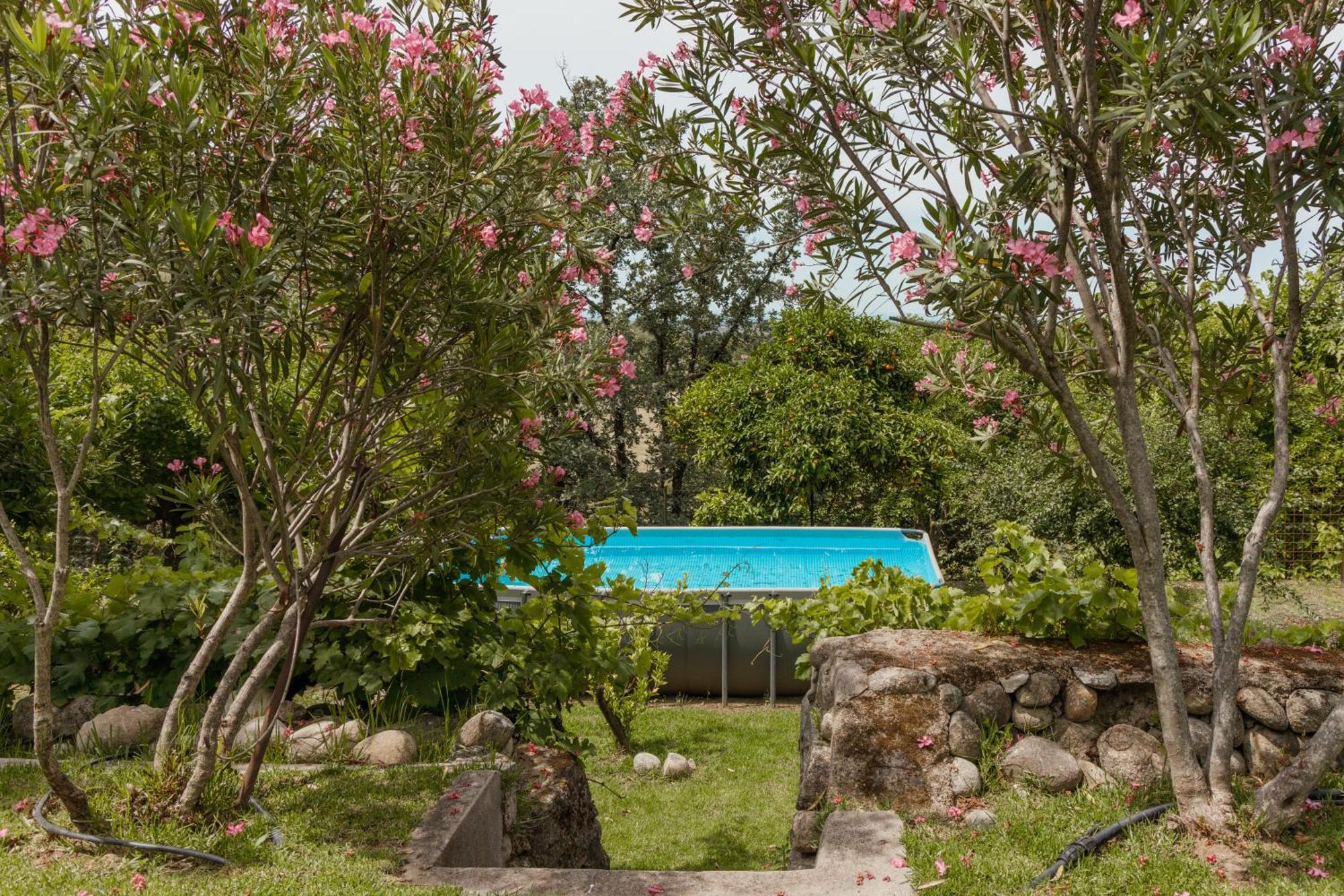 Casa Rural En Candeleda Con Piscina Y Un Maravilloso Jardin Kültér fotó