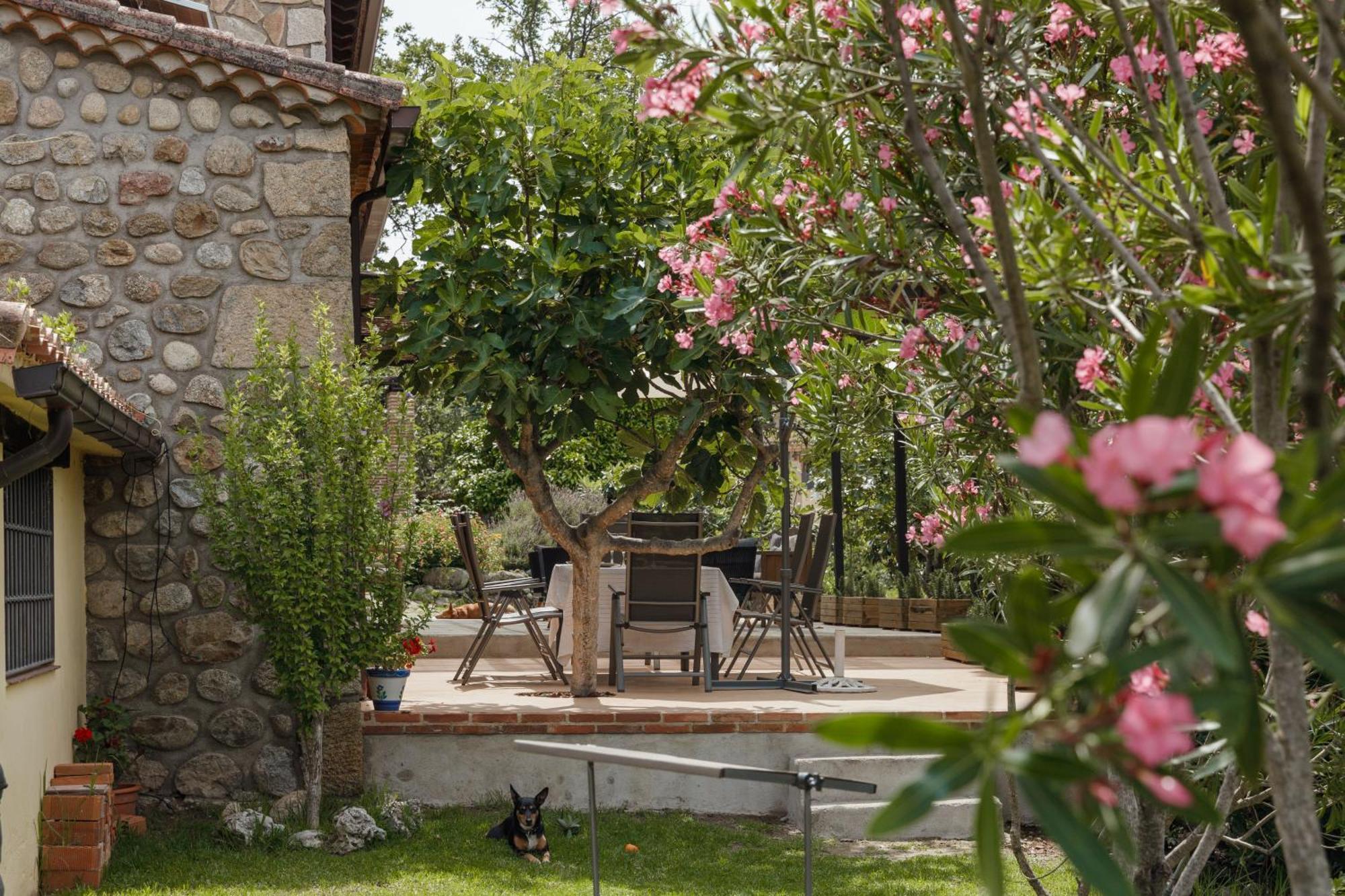 Casa Rural En Candeleda Con Piscina Y Un Maravilloso Jardin Kültér fotó